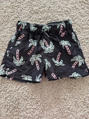 Art Class toddler boys swim trunks